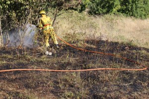 Bomberos Rematando